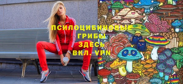 мет Бородино