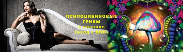 молекула духа Верея